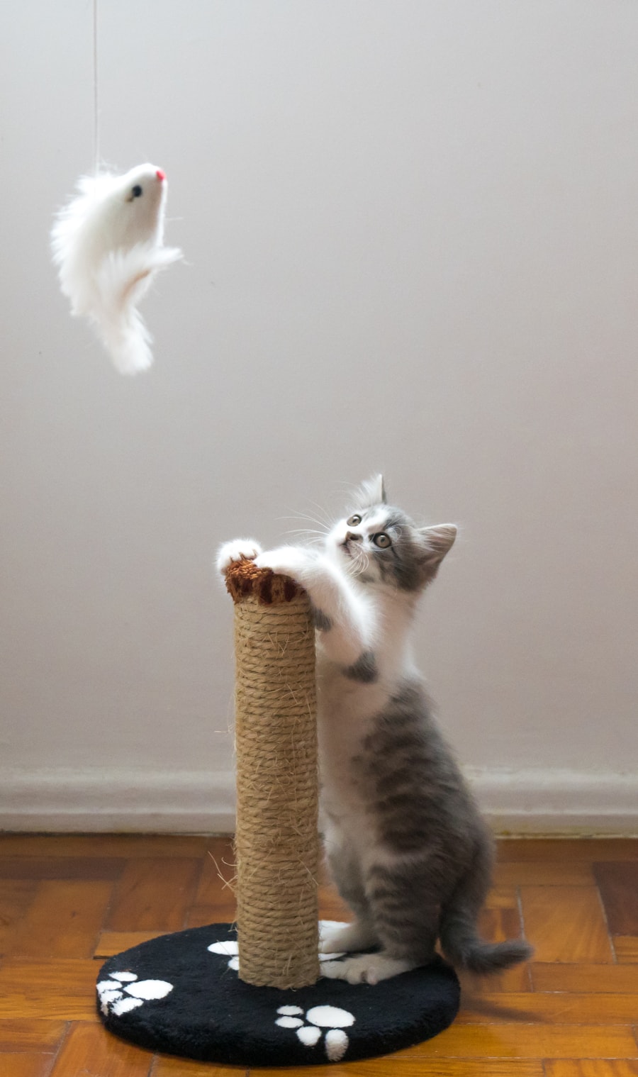 Seramik Kedi Su Pınarı